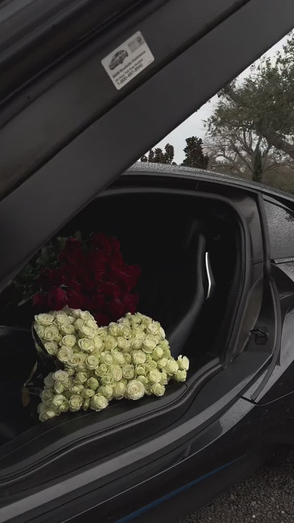 Social Media Reels Bundle (35,000+)